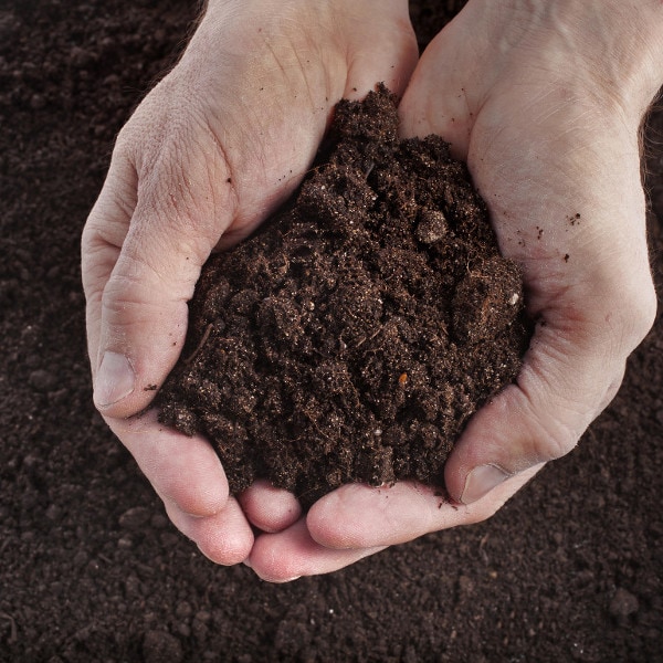 hands holding loose soil